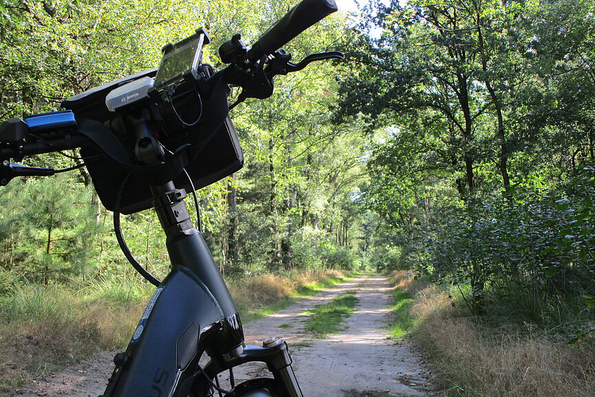 Touransicht ruhiger Waldweg